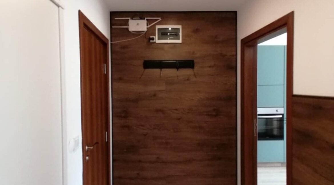1-bedroom apartment for rent (10)