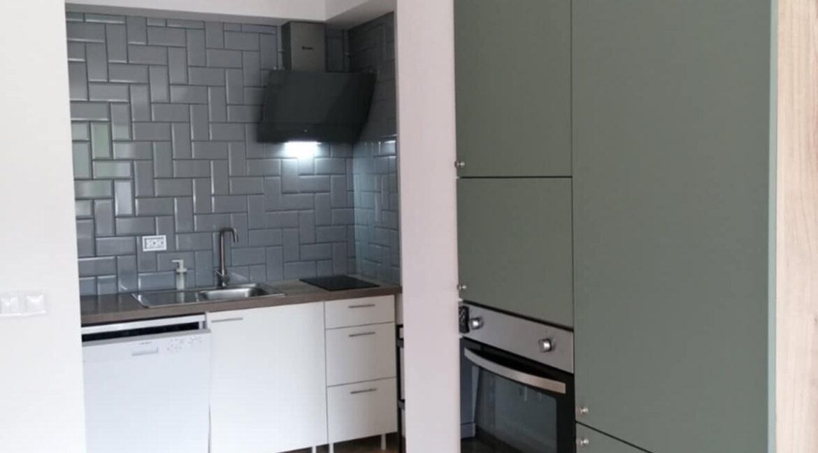 1-bedroom apartment for rent (11)