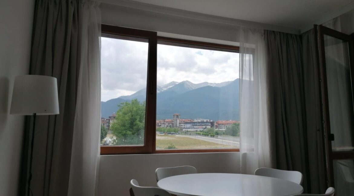 1-bedroom apartment for rent (12)