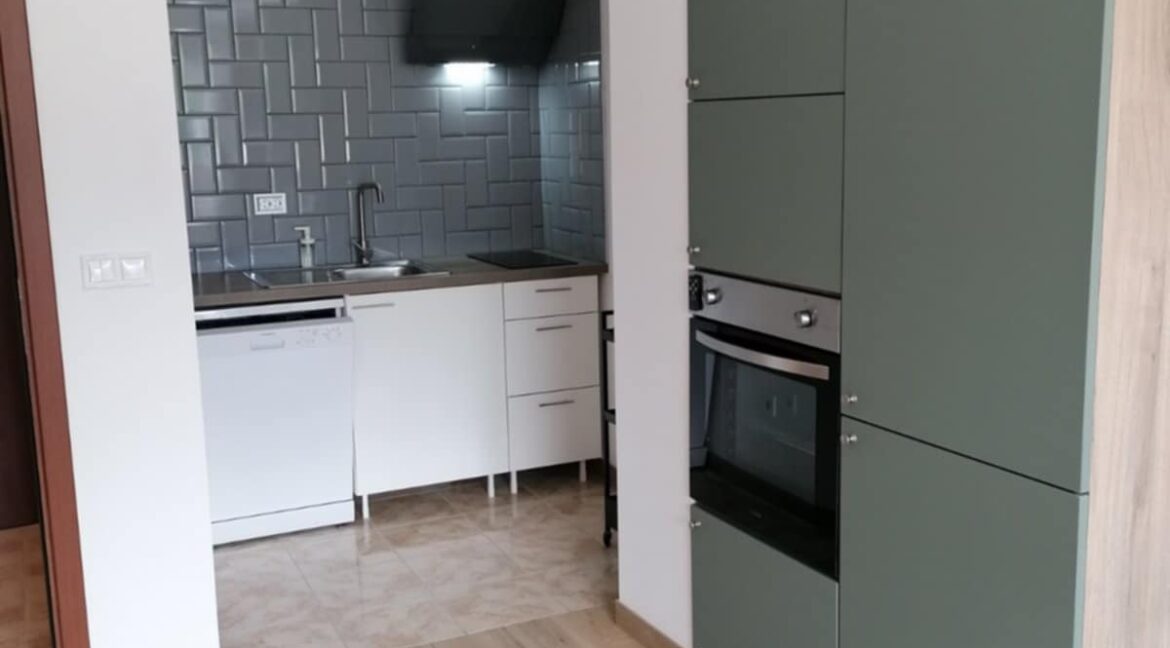 1-bedroom apartment for rent (13)