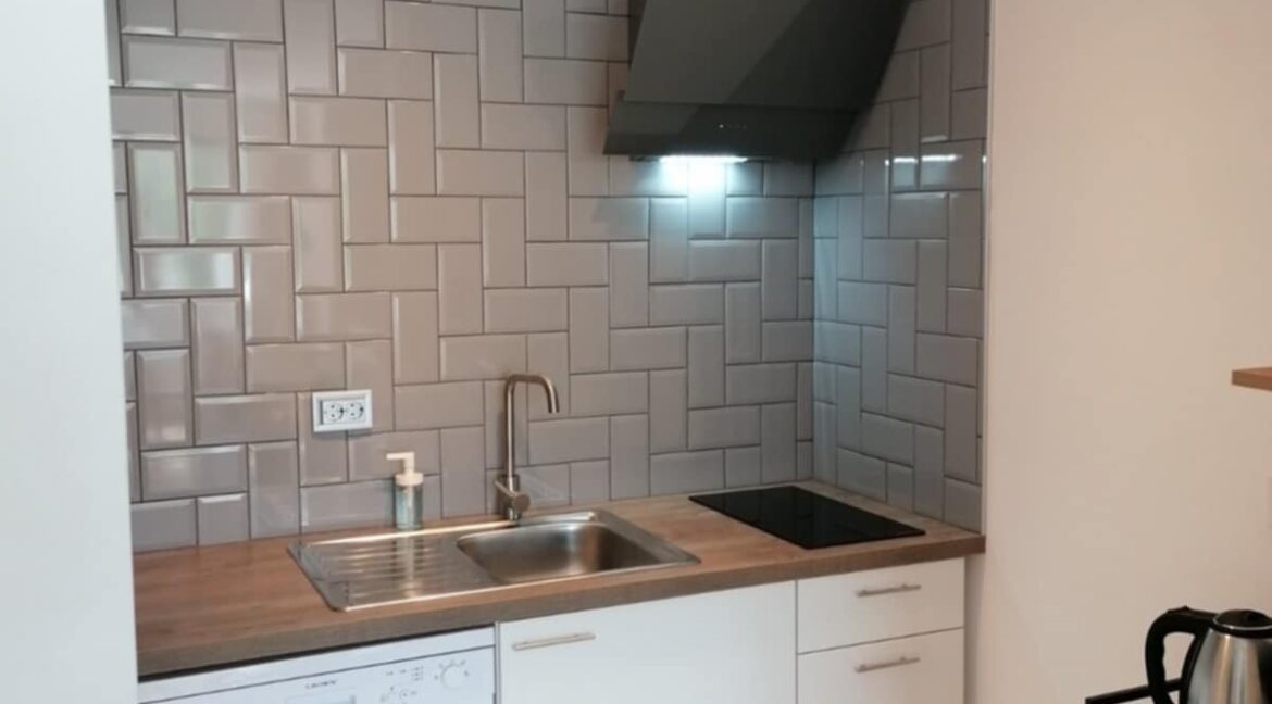 1-bedroom apartment for rent (14)