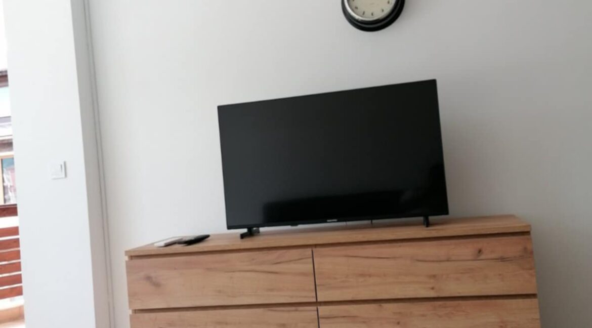 1-bedroom apartment for rent (8)