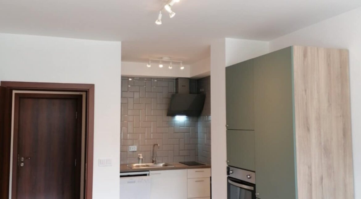 1-bedroom apartment for rent (9)
