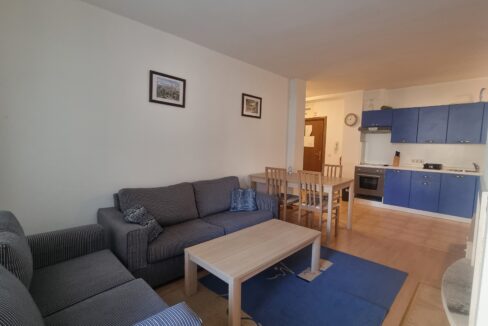 Spacious-One-Bedroom-Apartment