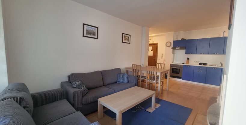 Spacious-One-Bedroom-Apartment