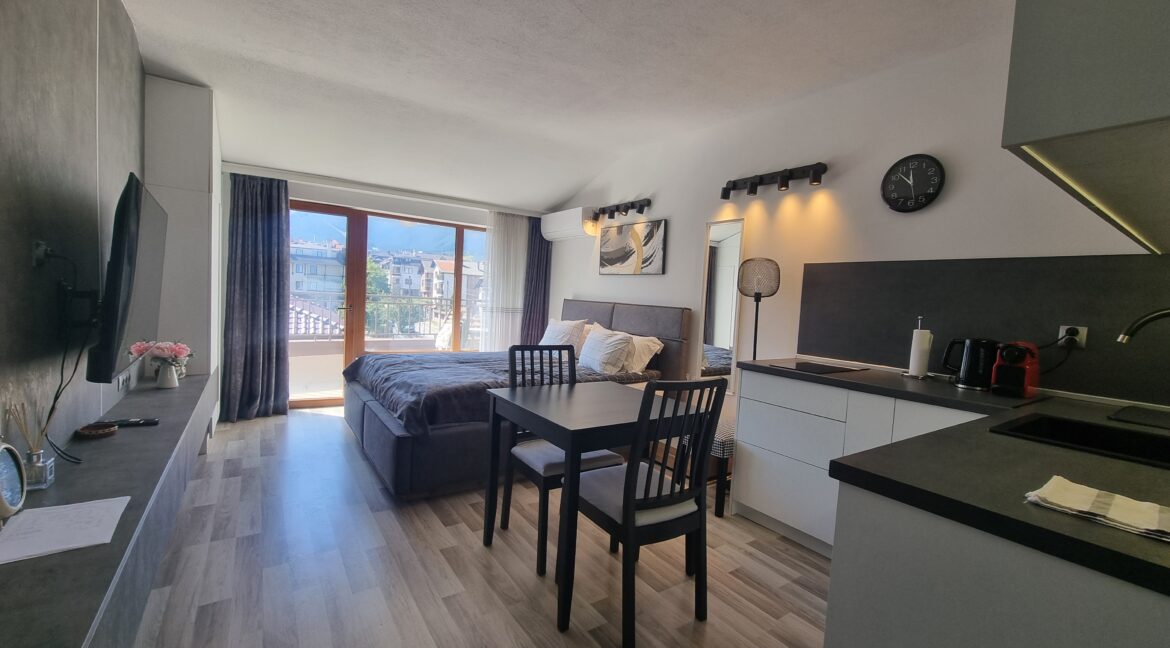 studio Bansko (12)
