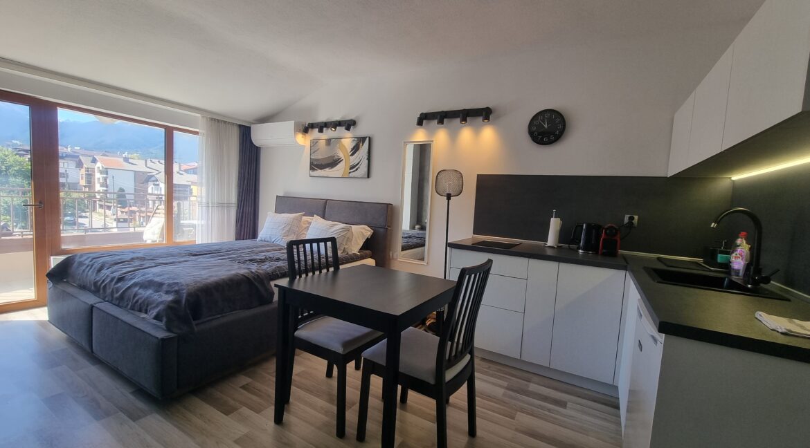 studio Bansko (14)