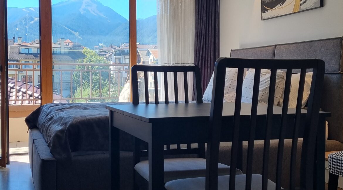 studio Bansko (2)